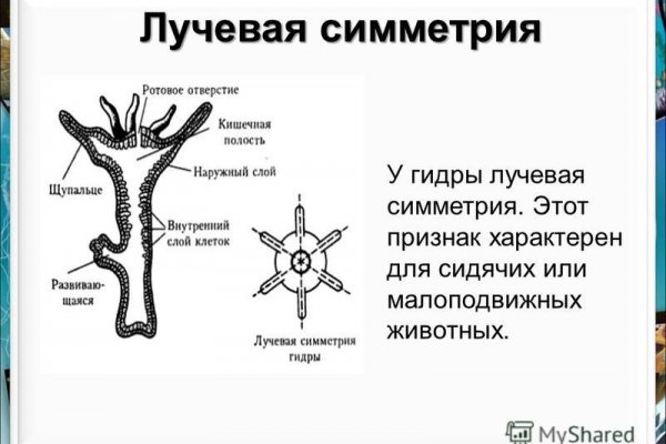 Кракен зеркало рабочее на сегодня