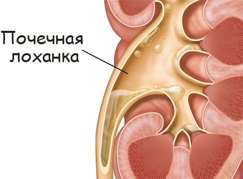 Кракен что можно купить